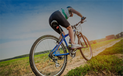 스포츠마케팅 계열