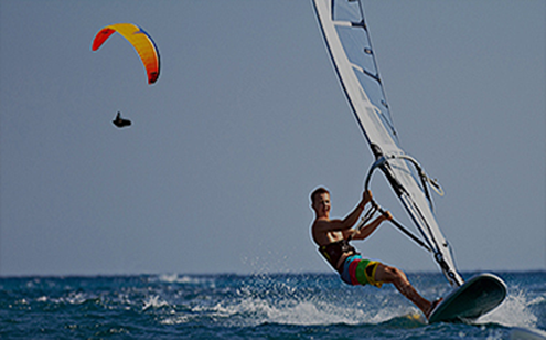 전문레저스포츠 계열