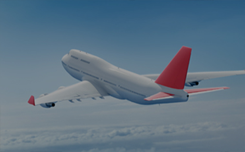 항공 보안 계열