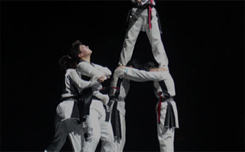 태권도공연예술계열