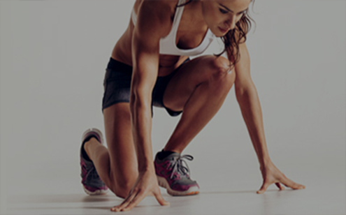 스포츠 모델 계열